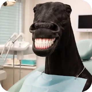 Video sticker 👍 Бурмолдацы