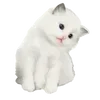 Sticker 🐈 （ׄ  ִ 𐙚  ˖ ） :: @fStikBot