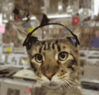 Телеграм стикер 🎧 🐱 Meine Kittys 🐱 :: @fStikBot