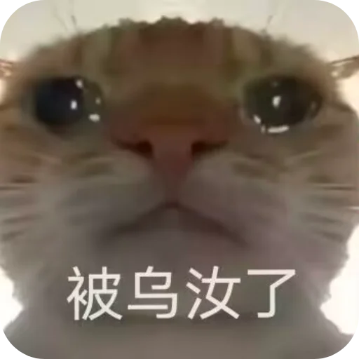 Телеграм стикер 👍 默颜汐小贴纸