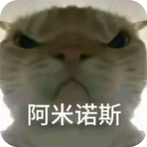 Телеграм стикер 😡 默颜汐小贴纸