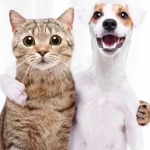 Telegram sticker 🫂 LOOOOOOOL