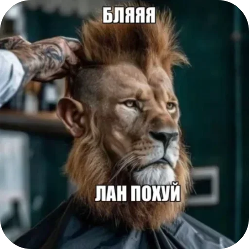 Sticker 😧 Больше стиков тут: @stikery4