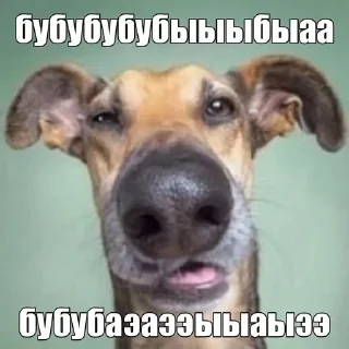 Video sticker 🥸 Больше стиков тут: @stikery4
