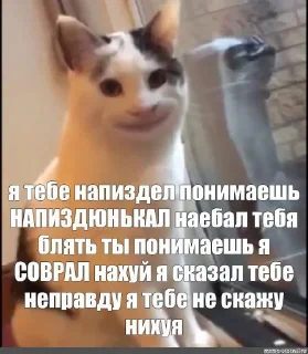 Telegram sticker 🤩 Сайпал @MoiStikiBot