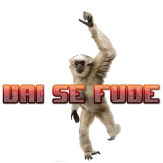 Telegram sticker 🖕 Monkeys- @sepajus