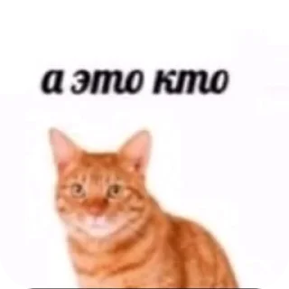 Video sticker 👍 убьюьббюю