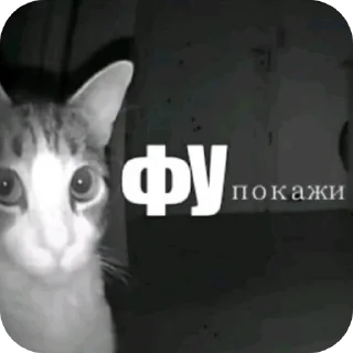 Video sticker 👍 убьюьббюю