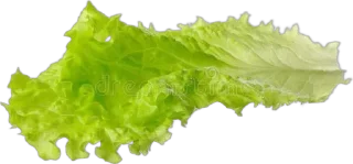 Video sticker 🌟 FOODvav1.1ese :: @fStikBot