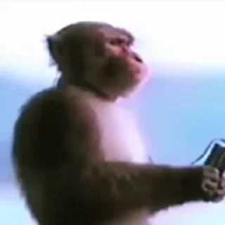 Telegram sticker 🐵 𝗙𝗔𝗩𝗦𝗧𝗜𝗖𝗞𝗘𝗥𝗦 𝗕𝗬 𝗕𝗘𝗥𝗟𝗜𝗡