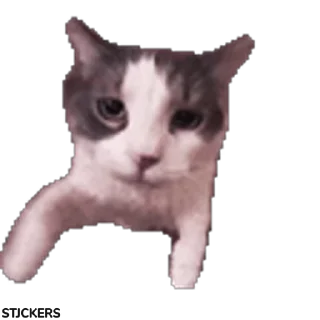 Video sticker 😽 Idk2