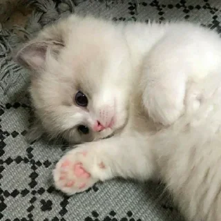 Telegram sticker 🍼 💅🏻