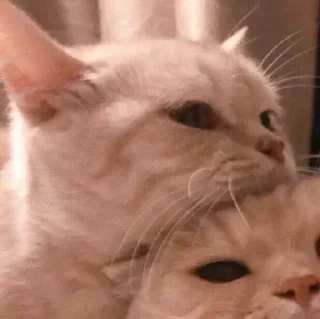 Telegram sticker 🍼 💅🏻