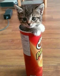 Sticker 🍼 💅🏻