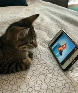 Video sticker 🍼 💅🏻