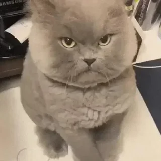 Telegram sticker 🍼 💅🏻