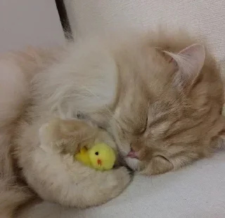 Telegram sticker 🍼 💅🏻