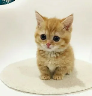 Video sticker 🍼 💅🏻