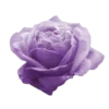 Sticker 💜 Фав эмодзи ангела @bpestrella :: @fStikBot