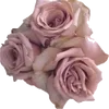 Video sticker 🌹 Фав эмодз�...