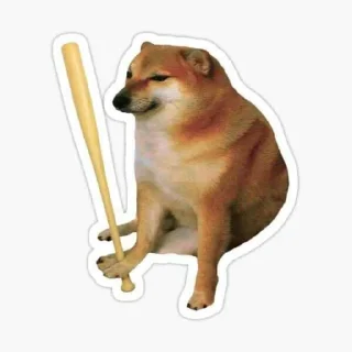 Video sticker 😏 چلب عضه الوكت