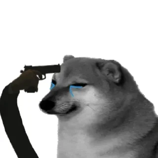 Telegram sticker 🥲 چلب عضه الوكت