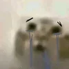 Video sticker 🌟 Котик со с...