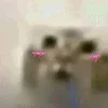 Video sticker 🌟 Котик со с...