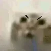 Video sticker 🌟 Котик со с...