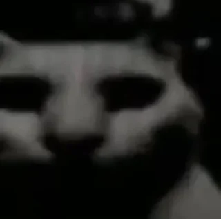 Video sticker ☺ Niggers 2