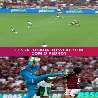 Video sticker 🤔 Figurinhas aleatórios