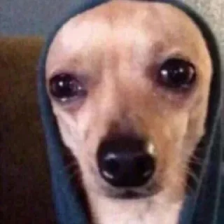 Telegram sticker 🥺 Больше стиков тут: @stikery4