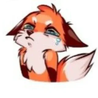 Video sticker 😋 Лисята