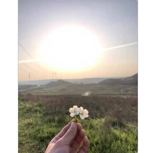 Telegram stiker 🫥 Chopmela😒 stiklarimmi