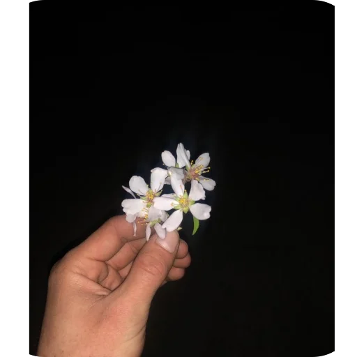 Telegram stiker 🫥 Chopmela😒 stiklarimmi