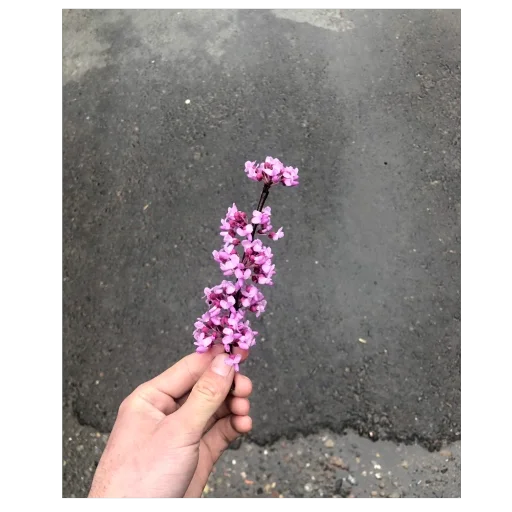 Telegram stiker 🫥 Chopmela😒 stiklarimmi