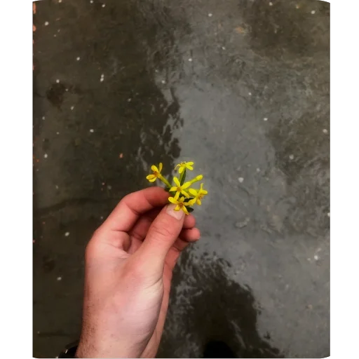 Telegram stiker 🫥 Chopmela😒 stiklarimmi