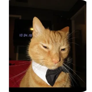 Video sticker 🫥 Chopmela😒 stiklarimmi