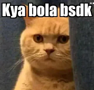 Video sticker 🤔 @Just_al4ve