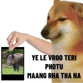 Telegram stiker 😒 @Just_al4ve