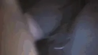 Video sticker 🩸 Лучьше стикеры - @lovesticers