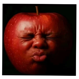 Telegram sticker 🤲 Perro polla pack