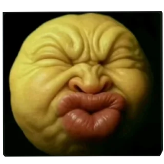 Telegram sticker ✋ Perro polla pack