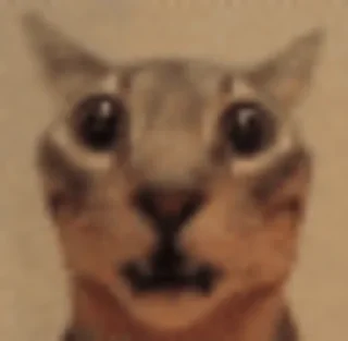 Telegram sticker 🙀 шакал от каковата арги 2 | @poebotinaotargy