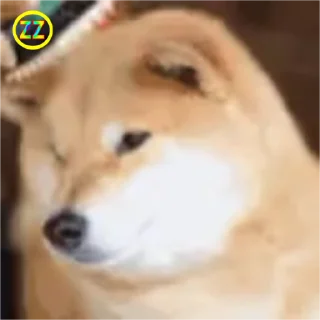 Video sticker 🐶 定制联系美工 @vipp8p8 更多表情 @zz915