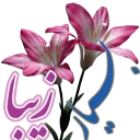 Telegram stiker 👏 dost