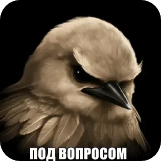 Telegram sticker 🐦 Serfer po kiskam