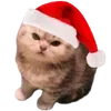 Video sticker 🌟 christmas ➜ @emoji1