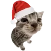 Video sticker 🌟 christmas ➜ @emoji1