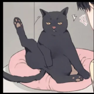 Video sticker 🥰 Salami